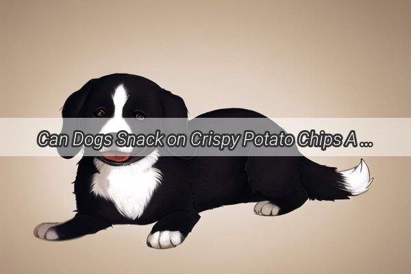 Can Dogs Snack on Crispy Potato Chips A Tasty Twist on Fidos Menu